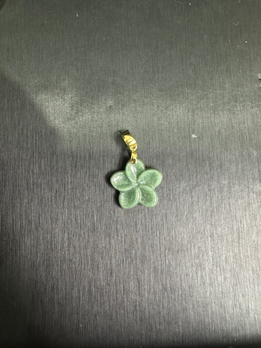 Livestream Order green jade Plumeria